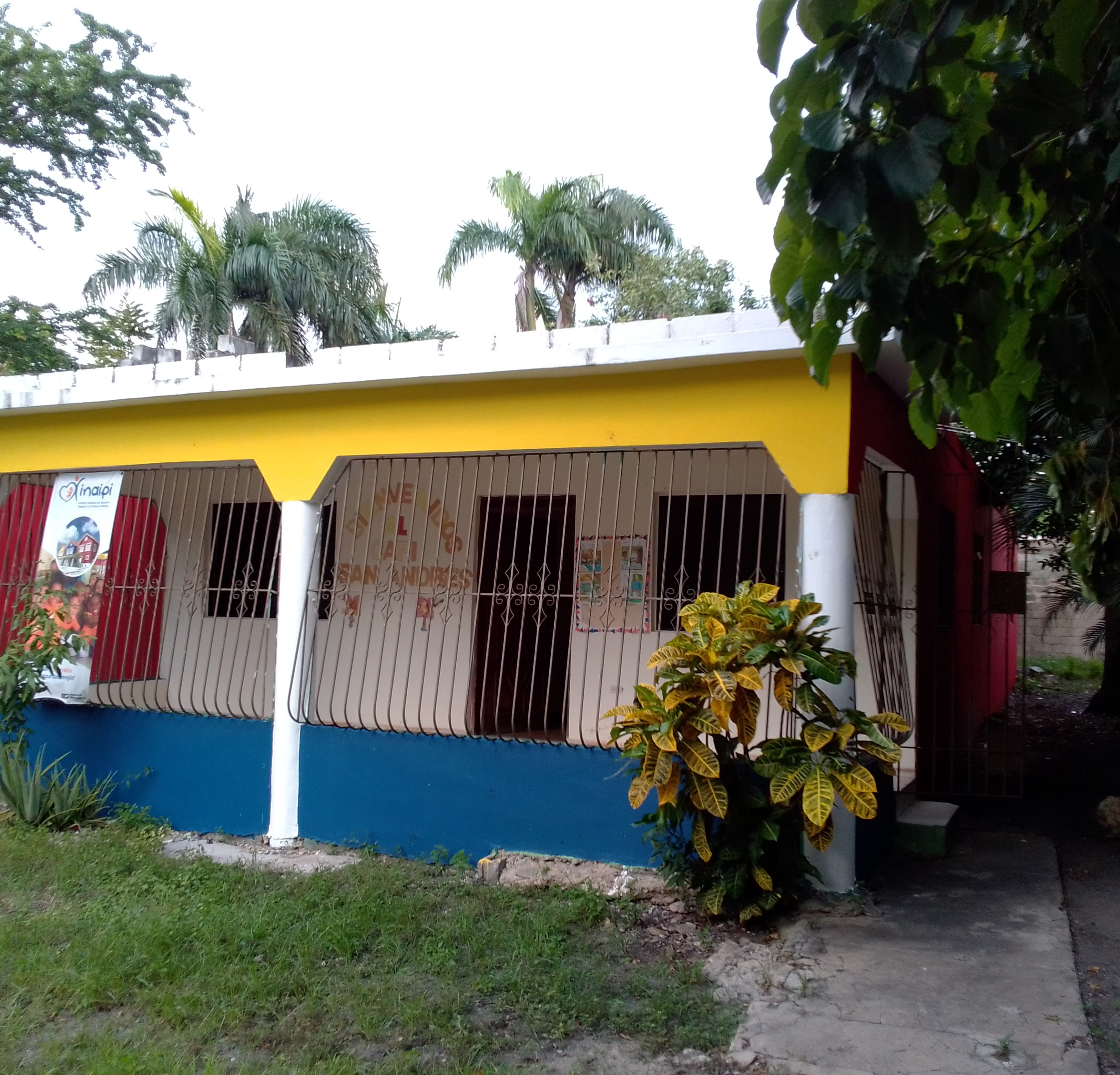 PRIMERA INFANCIA EN DESARROLLO  